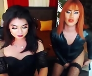free live sex with slutty 25-year-old webcam shemale - tsmajesticzhia