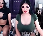 10incheskinkynastytrans is slutty shemale. 25-year-old with big cock and big tits. Speaks english/