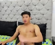 angel_fenix01 is gay asian webcam boy. 18-year-old with big cock. Speaks español - english
